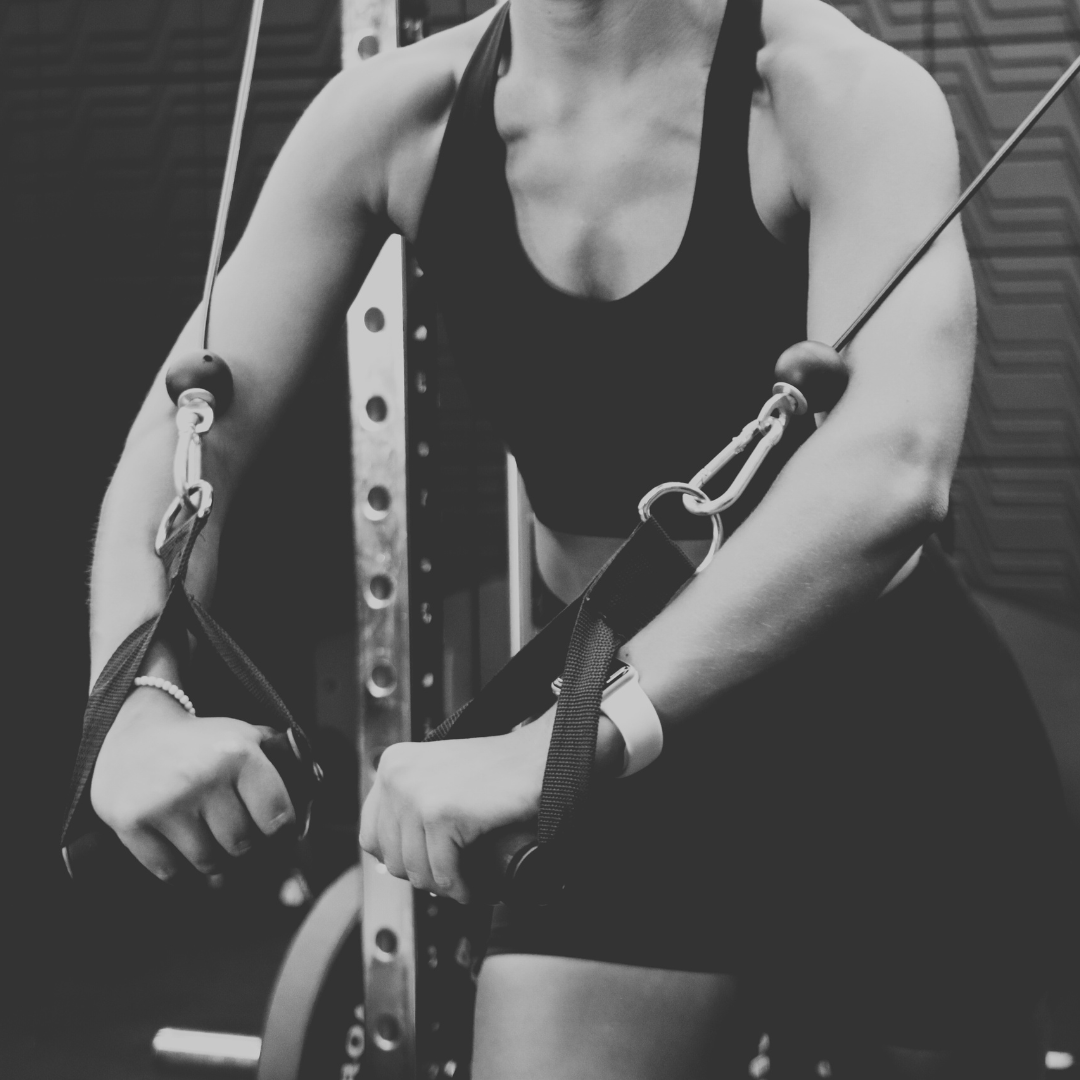 อุปกรณ์ฝึกความแข็งแรงสำหรับยิมบ้านและยิมเชิงพาณิชย์ – BodyIron Thailand