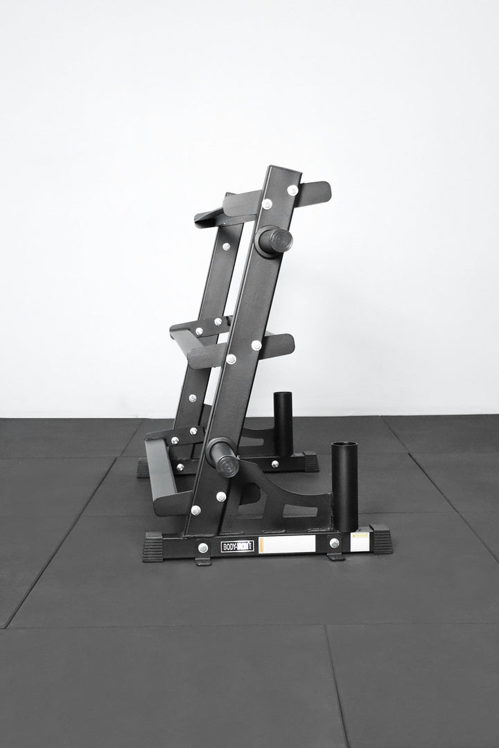 Body Iron Commercial Weight Storage Rack