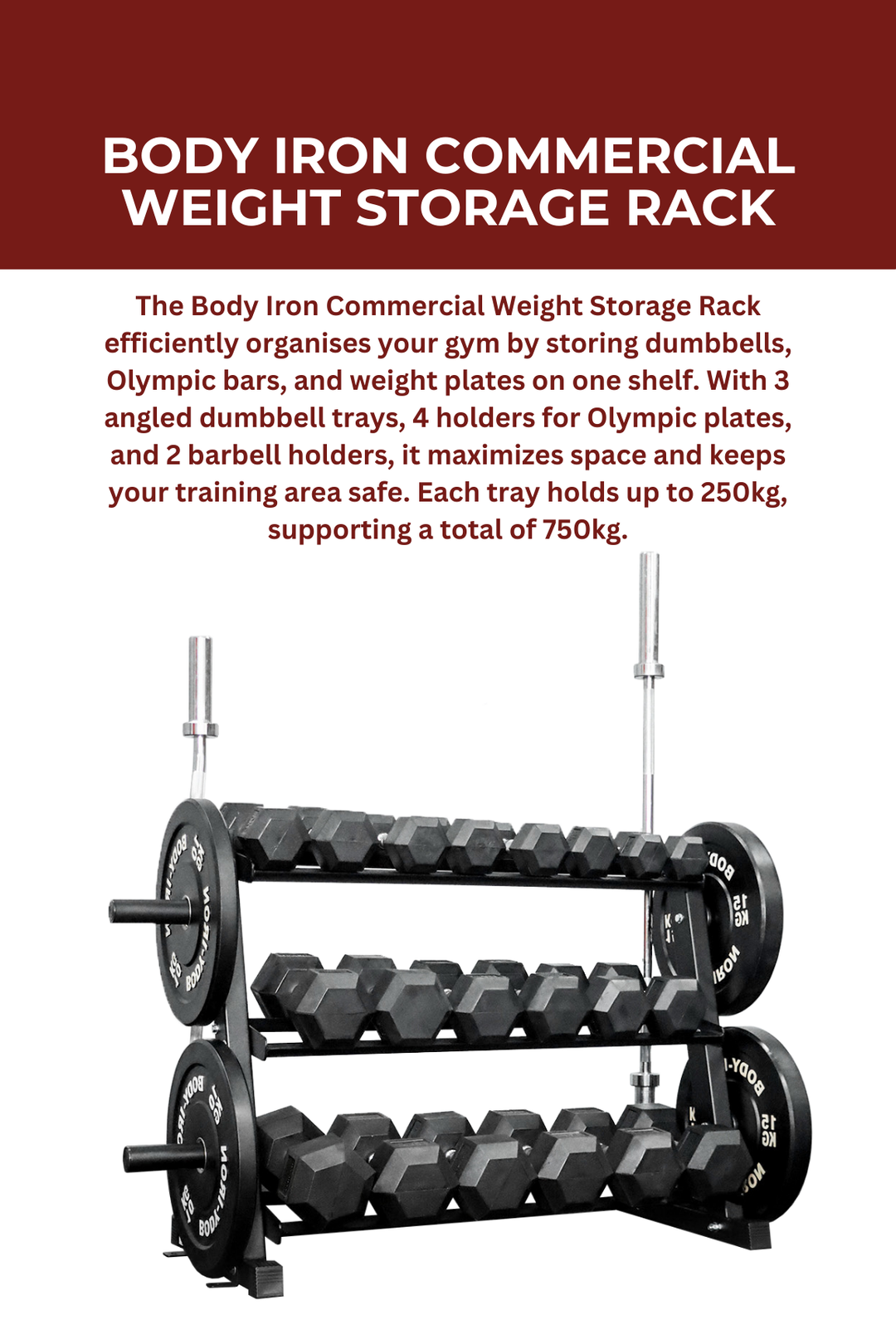 Body Iron Commercial Weight Storage Rack