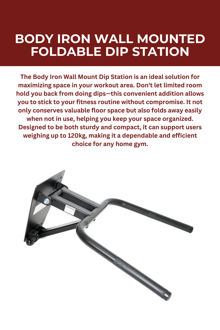 Body Iron Wall Mounted Foldable Dip Station
