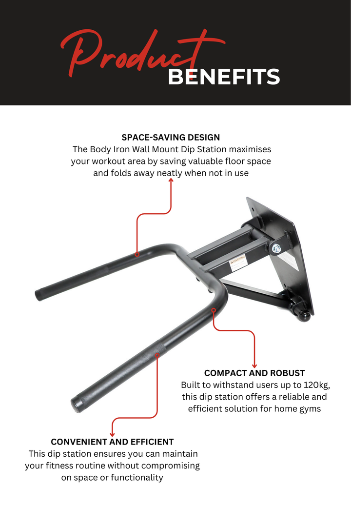 Body Iron Wall Mounted Foldable Dip Station