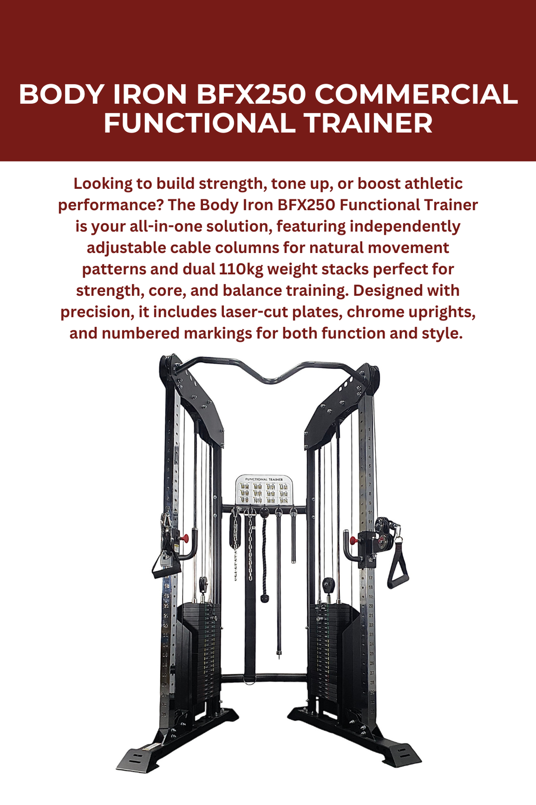 Body Iron BFX250 Commercial Functional Trainer