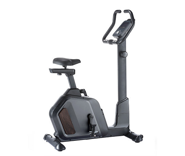 Body Iron Exercise Bike TXM350