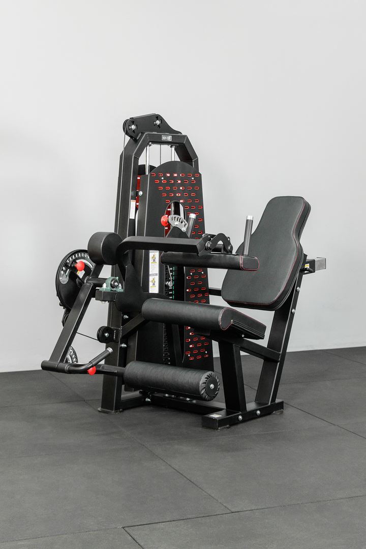 Body Iron Commercial Leg Extension & Curl Machine
