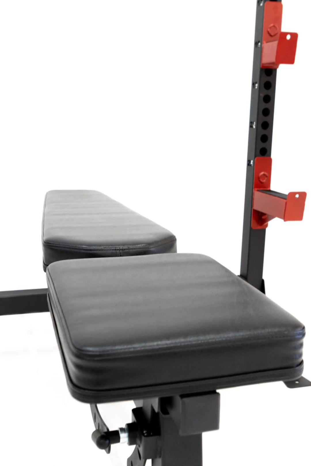 Body Iron Studio Performance Pro Olympic Bench