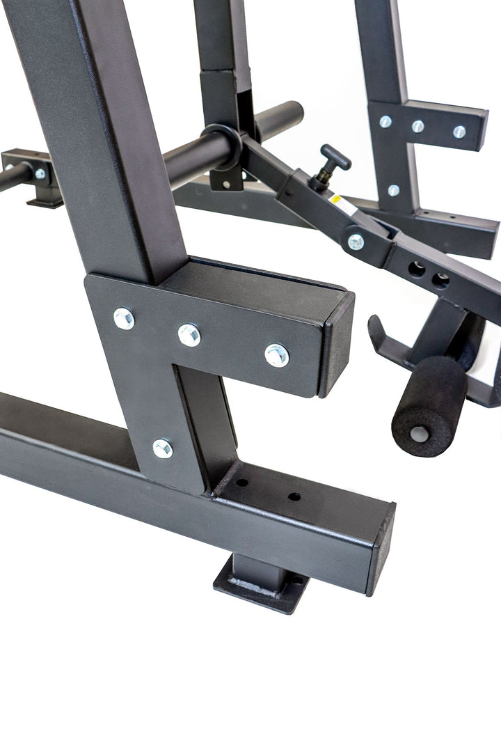 การค้าเหล็กในร่างกายแบบย้อนกลับ