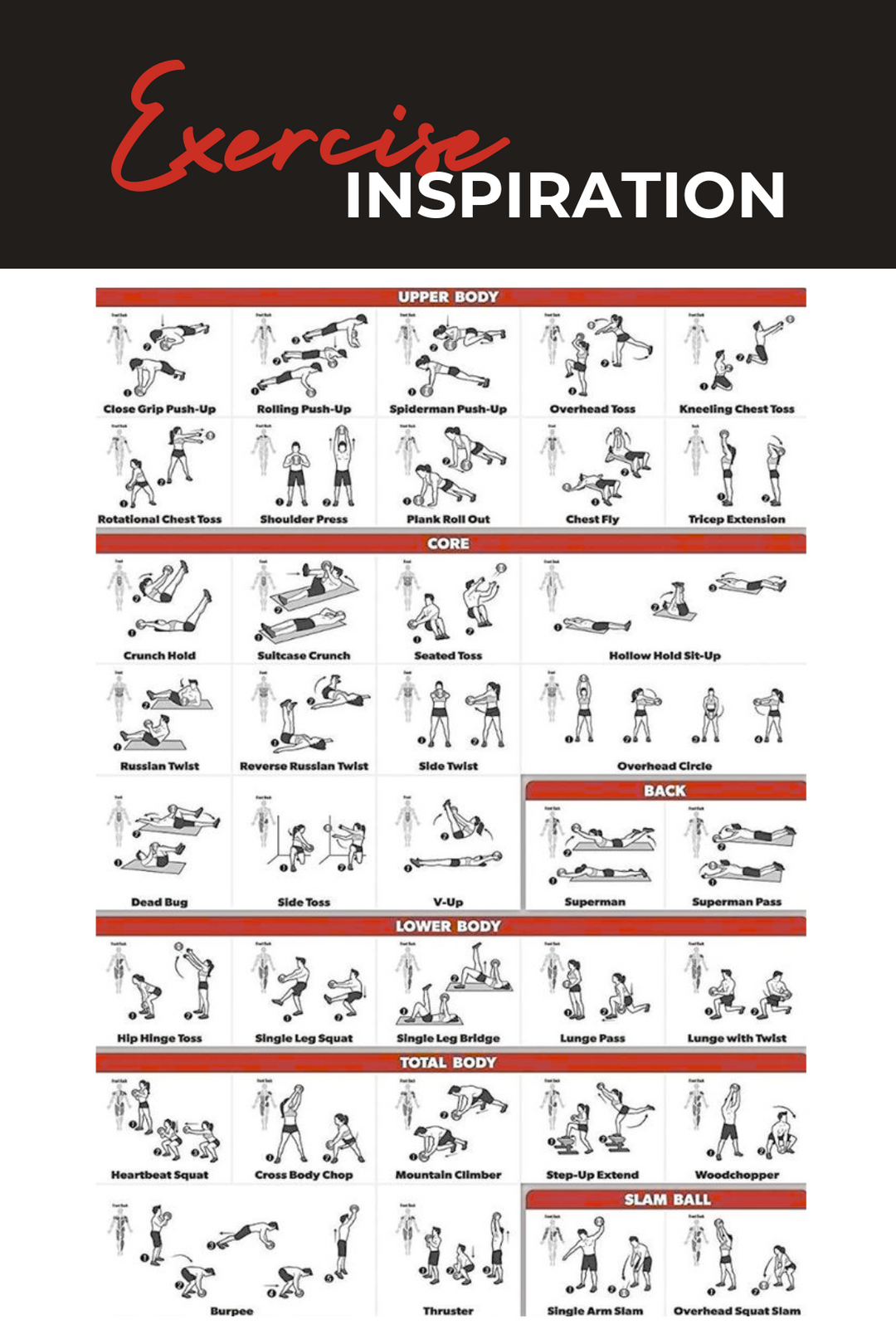Body Iron Rising Pro Commercial Medicine Ball 4KG