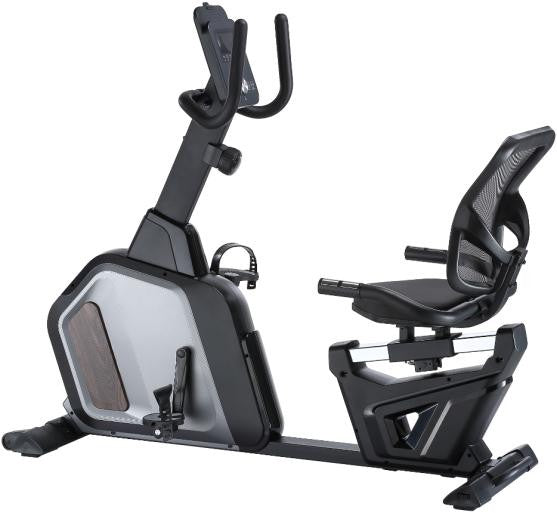 Body Iron Recumbent Bike TXM450
