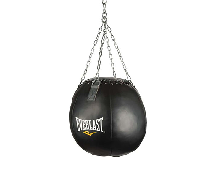 Everlast Wrecking Ball