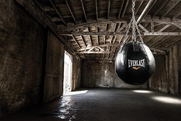 Everlast Wrecking Ball