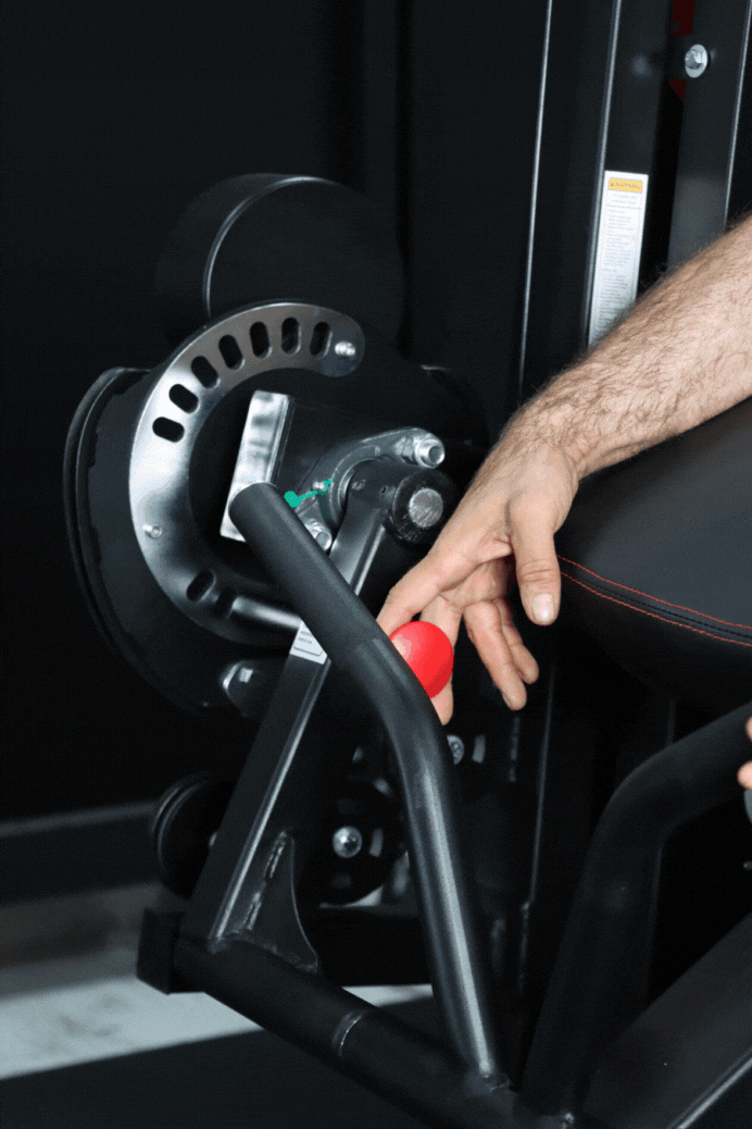 Body Iron Commercial Bicep / Tricep Curl Extension