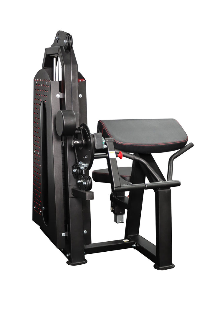 Body Iron Commercial Bicep / Tricep Curl Extension