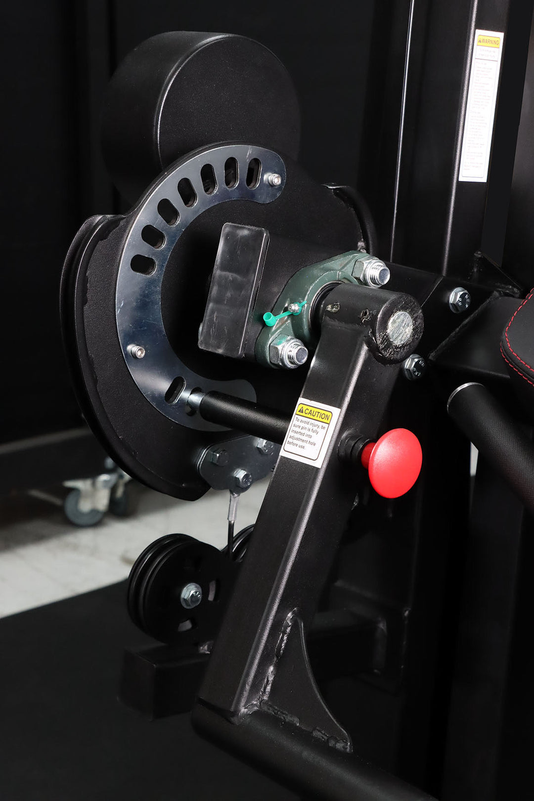 Body Iron Commercial Bicep / Tricep Curl Extension