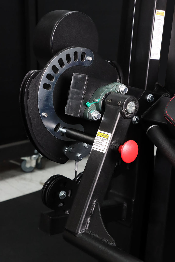 Body Iron Commercial Bicep / Tricep Curl Extension