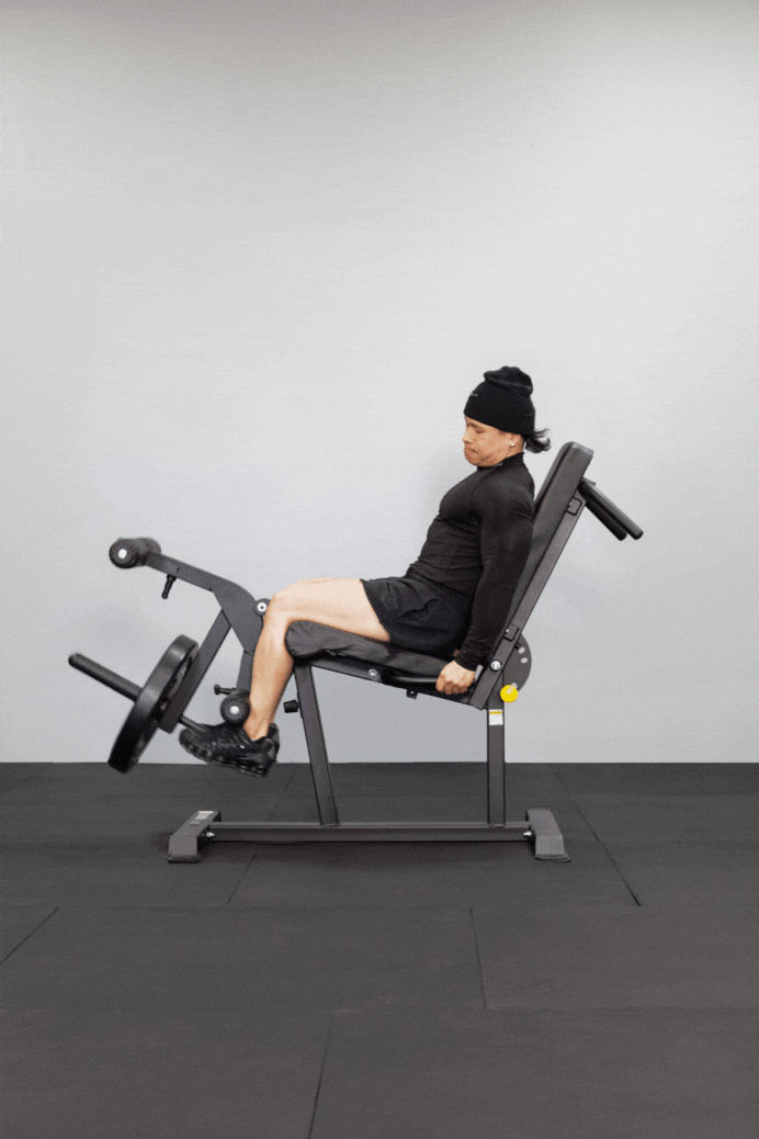 Body Iron Leg Extension & Prone Curl Machine